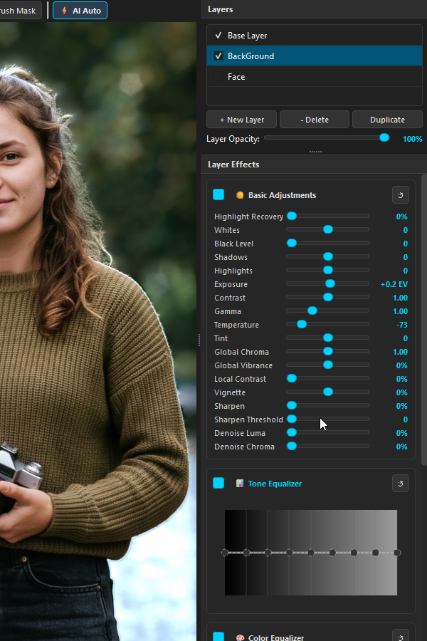 Basic Adjustments Plugin Controls